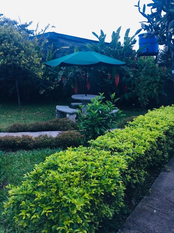 Hotel Your House Alajuela Eksteriør bilde